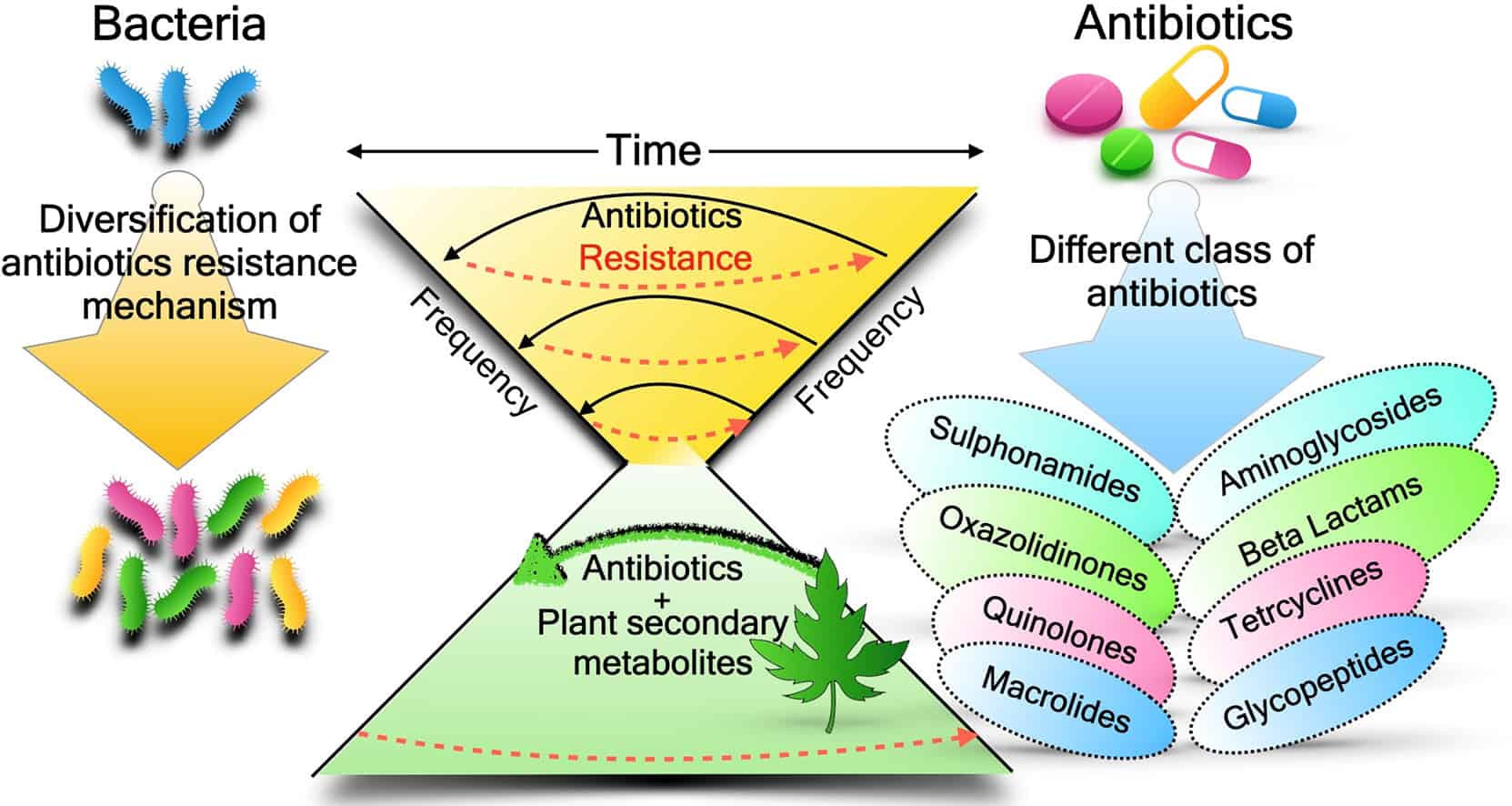 Plant-Based Nanoparticles Antibiotic Resistance