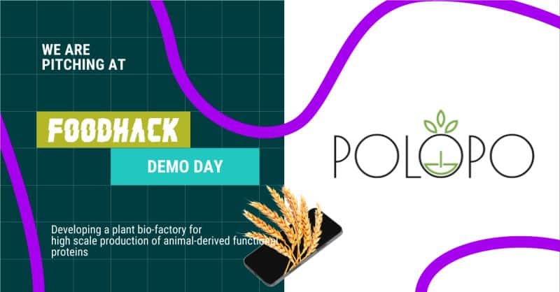 PoLoPo's pitching banner for Demo Day