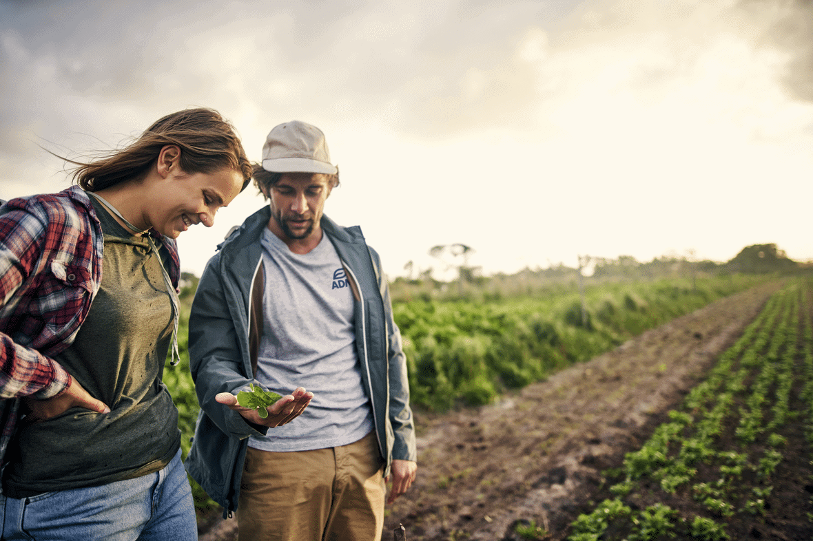 adm workers in a farm field during the day