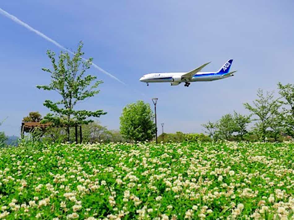 © All Nippon Airways ANA plane flying