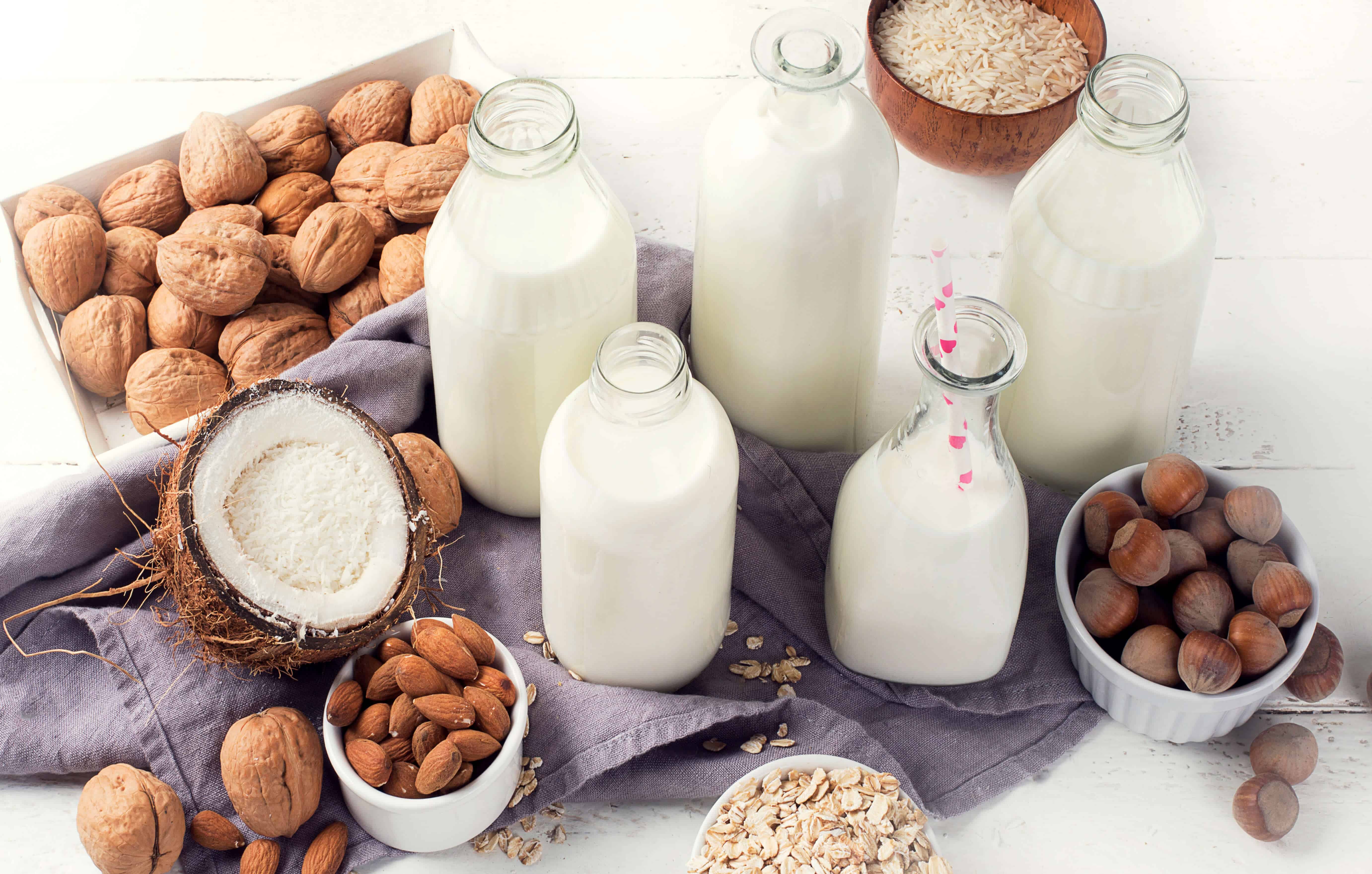 Dairy Alternatives Market Worth $29.6 Billion by 2023 - vegconomist - the  vegan business magazine