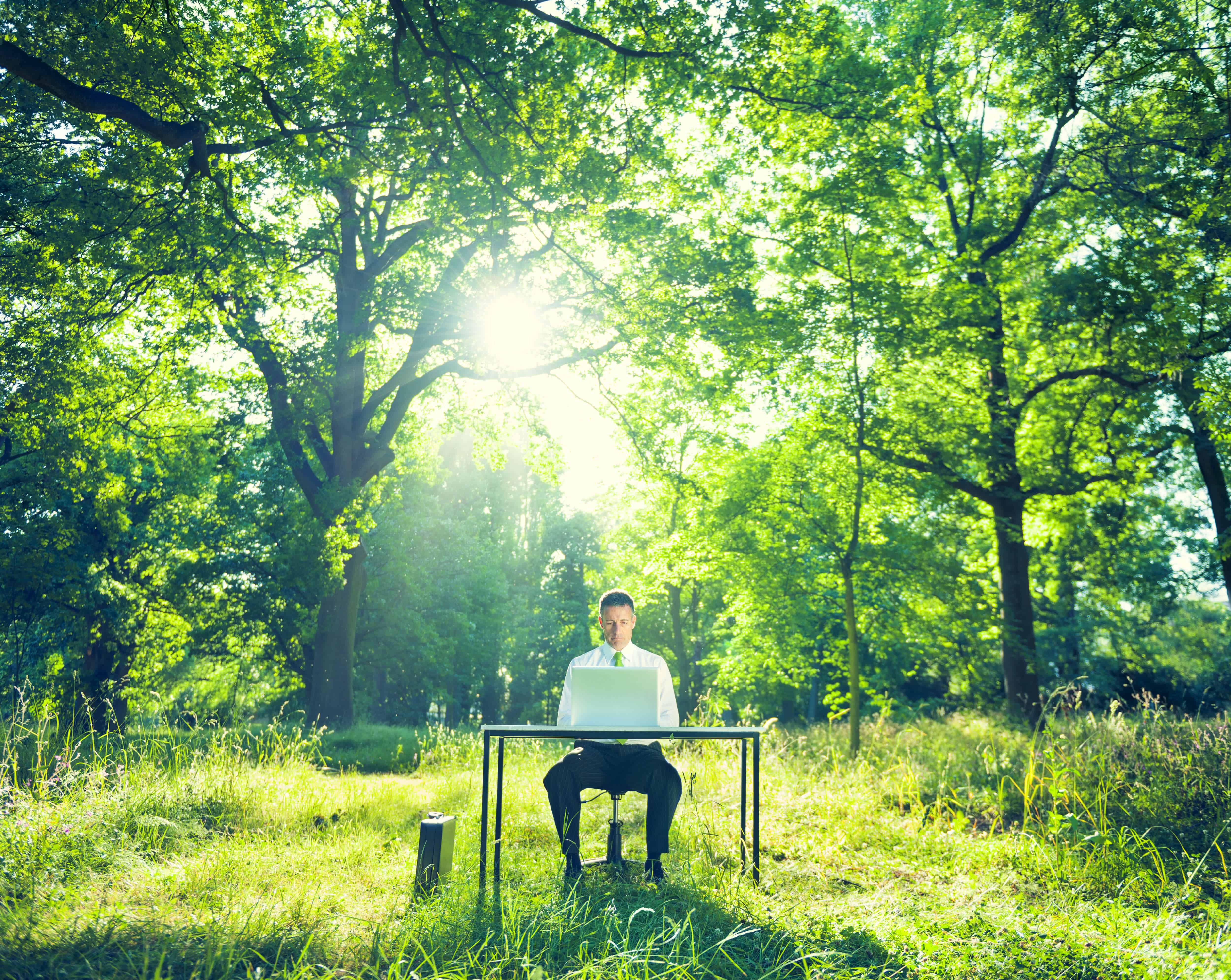 Environmental Conscious Businessman in Nature