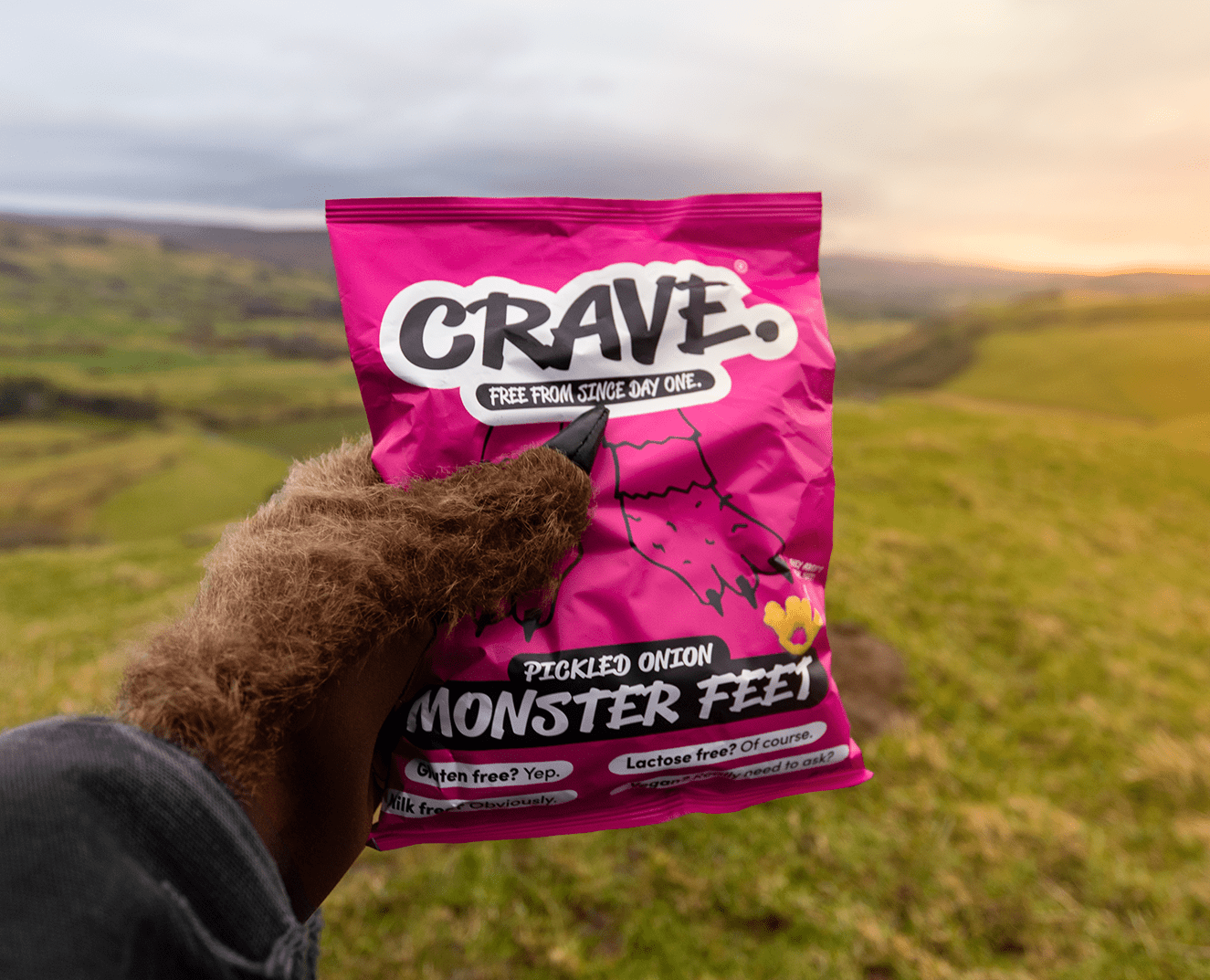 Crave dog food store asda