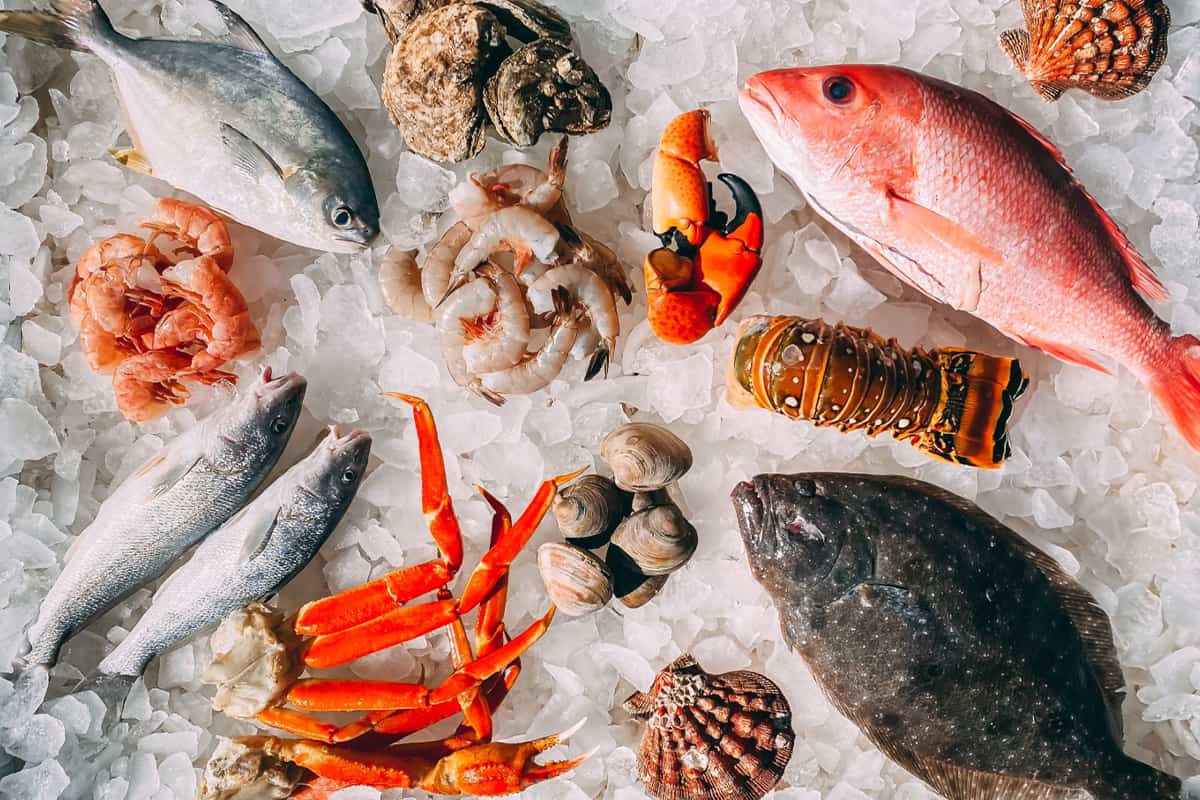 various fish species laying in ice