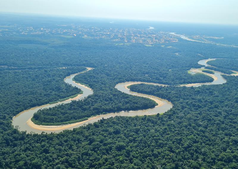 A river in the forest of Brazil