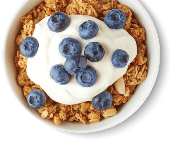 Fibersol_yogurt-bowl