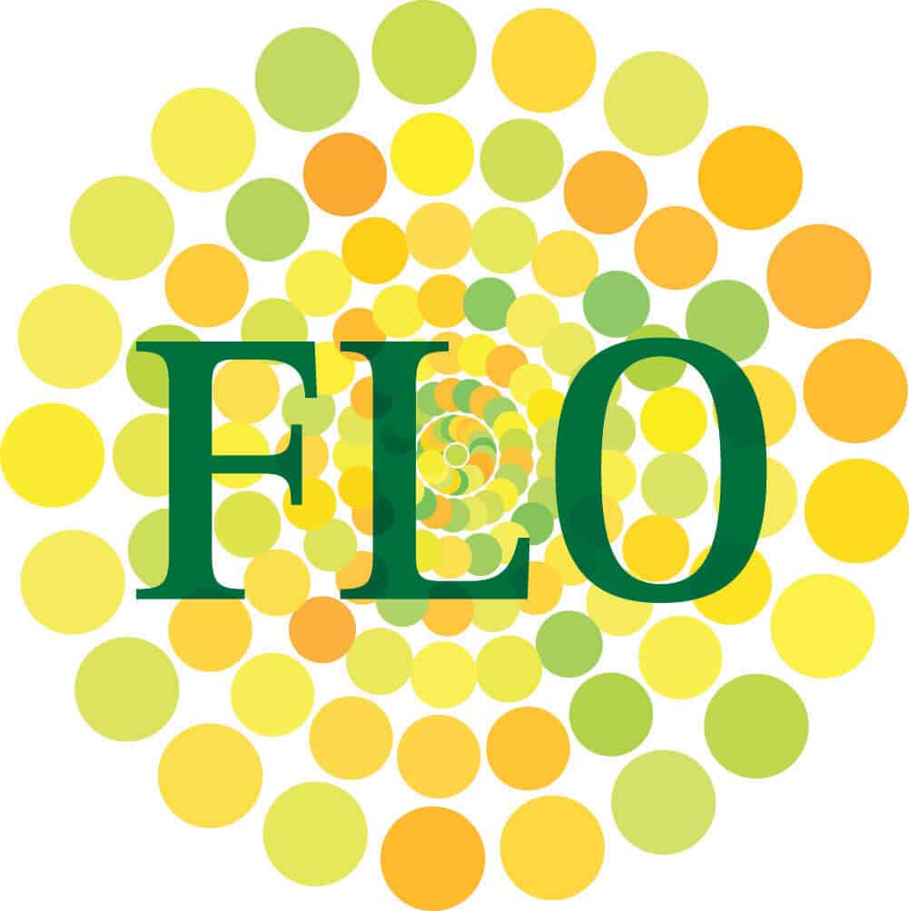 flozein logo