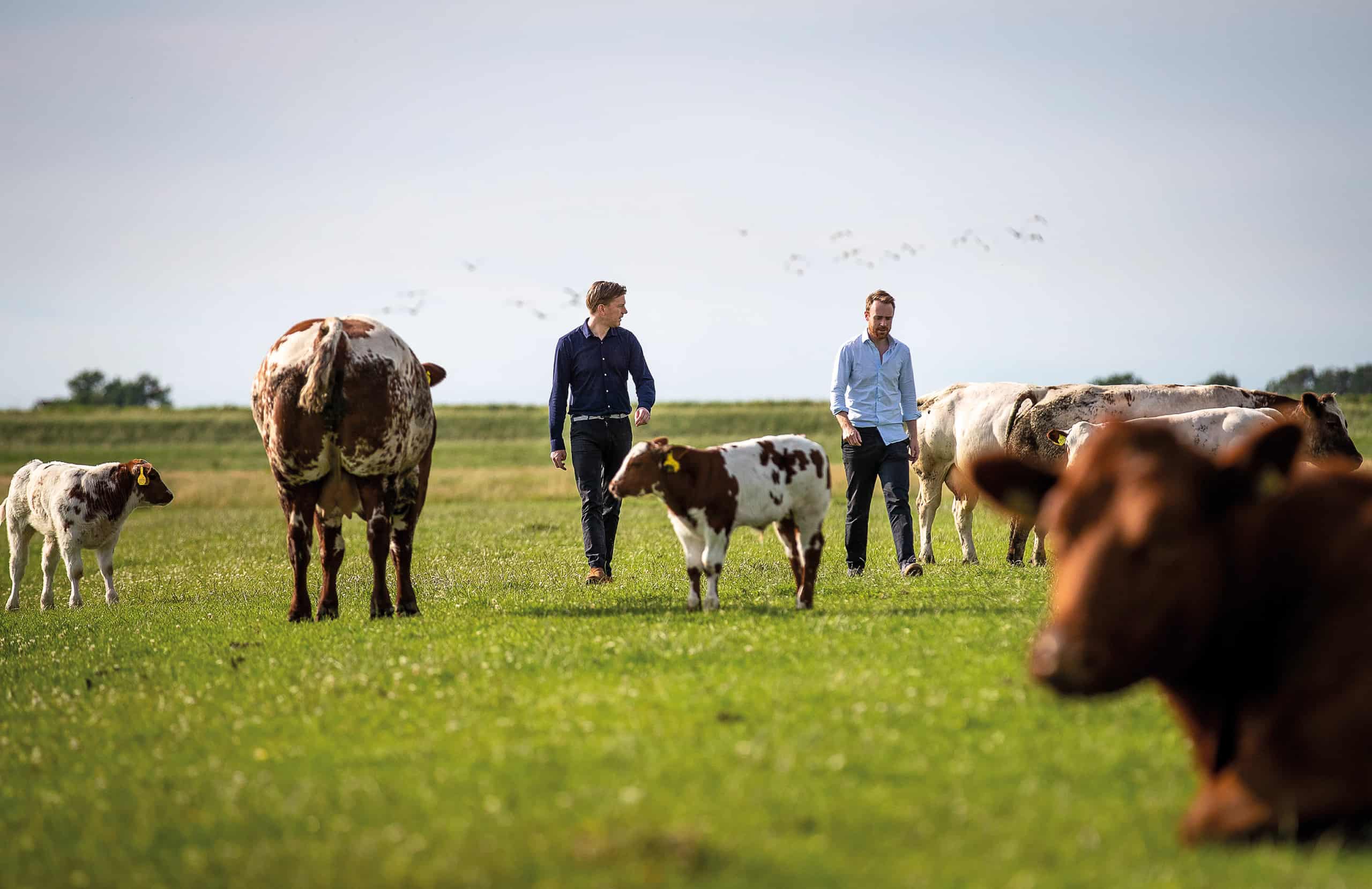 Krijn de Nood en Daan Luining, oprichters van Meatable.