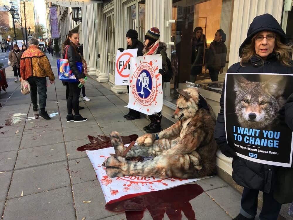 when will canada goose stop using fur