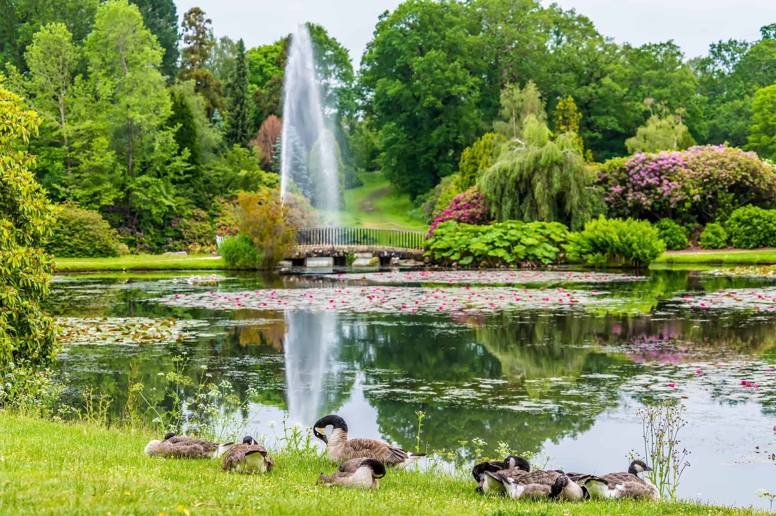 parc de Haywards Heath