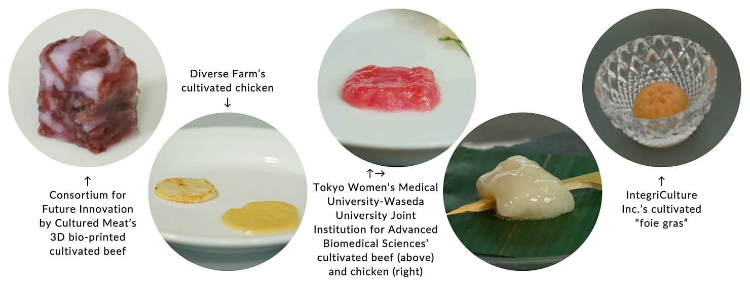 A range of cultivated meat presented at a JACA event in Tokyo