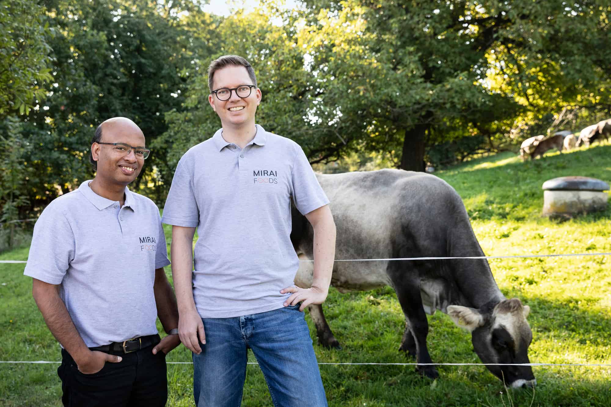 Collaboration to develop cultivated beef in Singapore