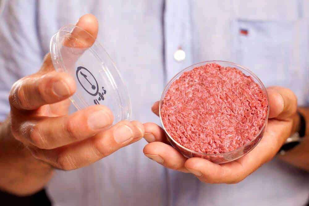 a cultivated beef hamburger in a petty dish held by a man's hands