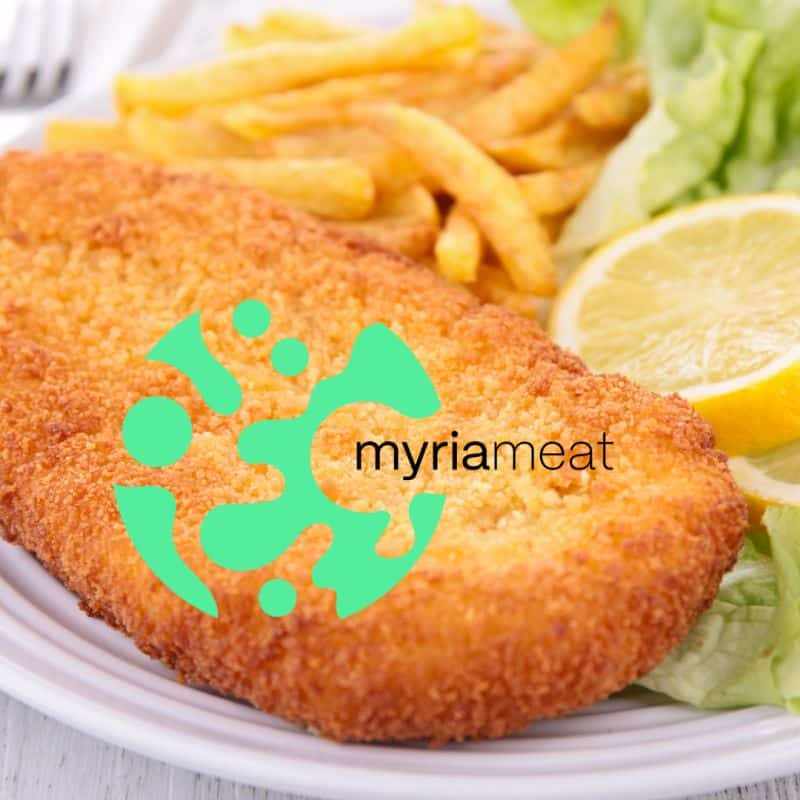 Biotech startup MyriaMeat, a spin-off of the University of Göttingen, has come out of stealth mode, claiming it can cultivate 100% "real meat".