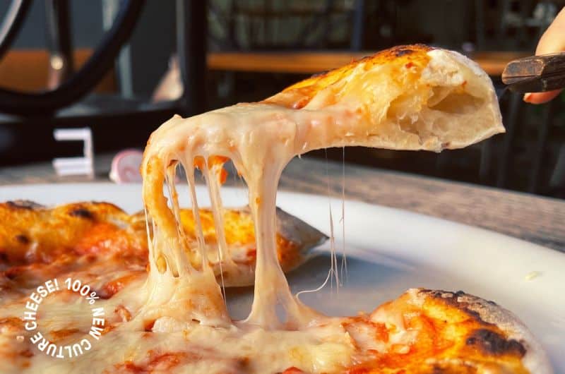 new cultures's mozzarella cheese melting in an oven baked pizza on a plate