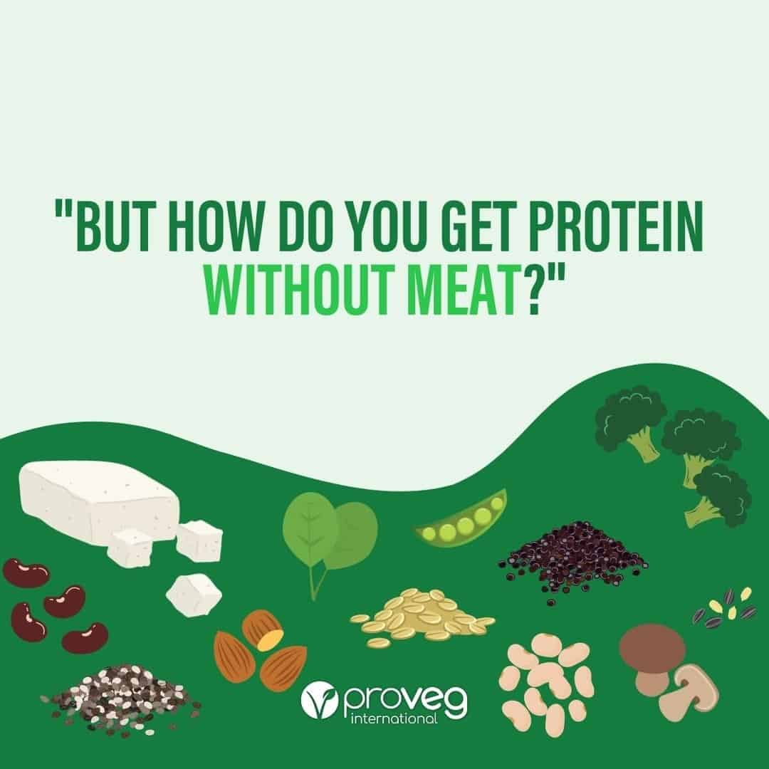 Proveg's banner on protein