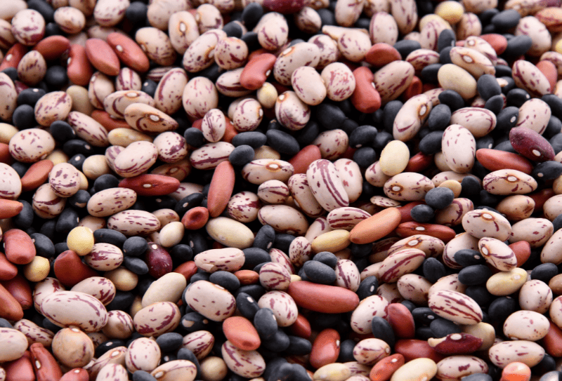 A variety of pulses