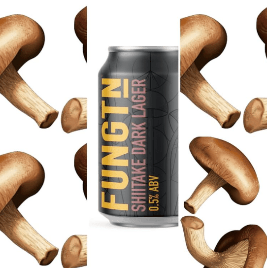 Shiitake_beer_panels