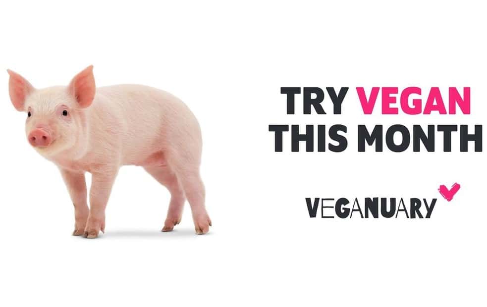 © Veganuary