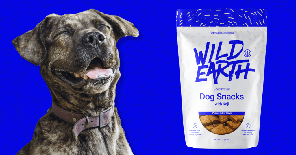 wild earth dog food phone number