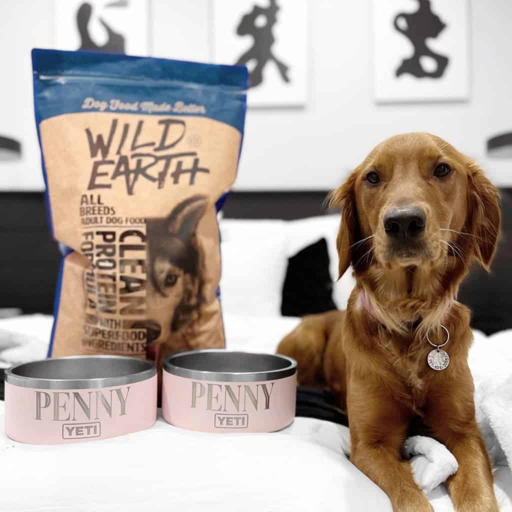 wild earth dog food net worth