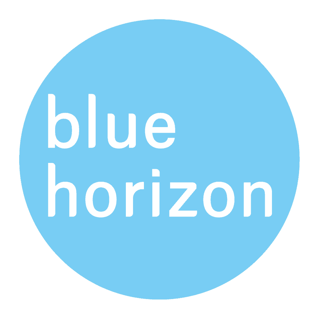 Blue horizon обзор