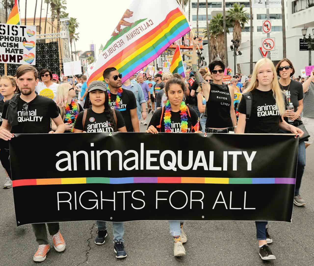 animal_equality