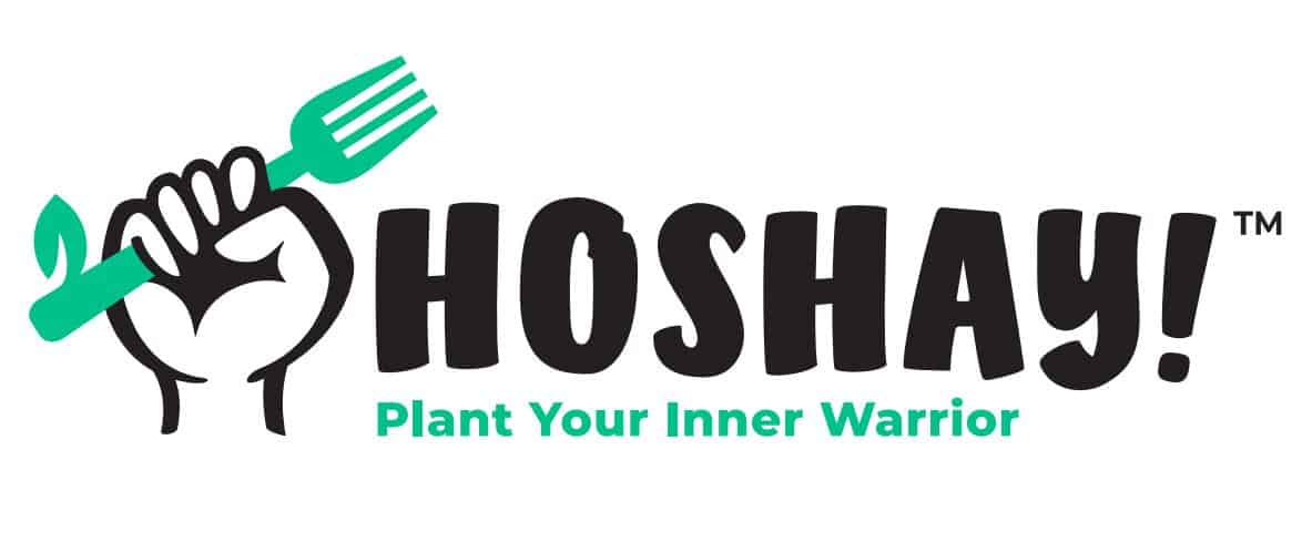 Sponsored Post Hoshay Debuts in Singapore With Crispy Fried Chicken, Teriyaki Unagi and More – vegconomist