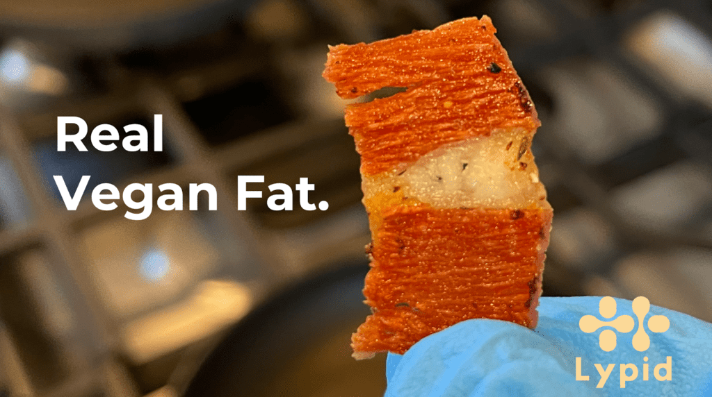 Lypid Bacon Fat