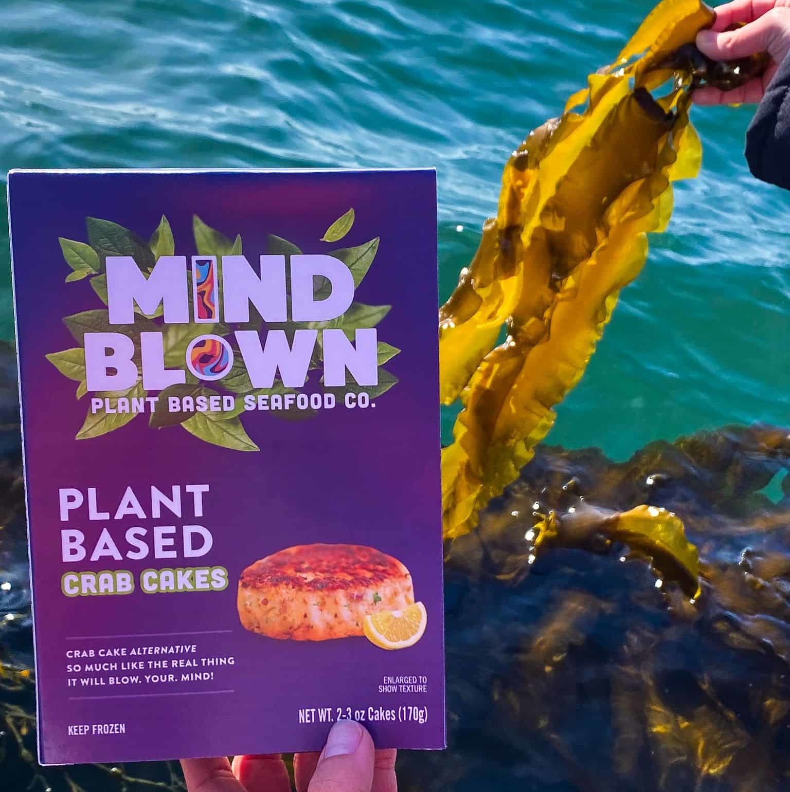 How seaweed-munching crabs could help save co