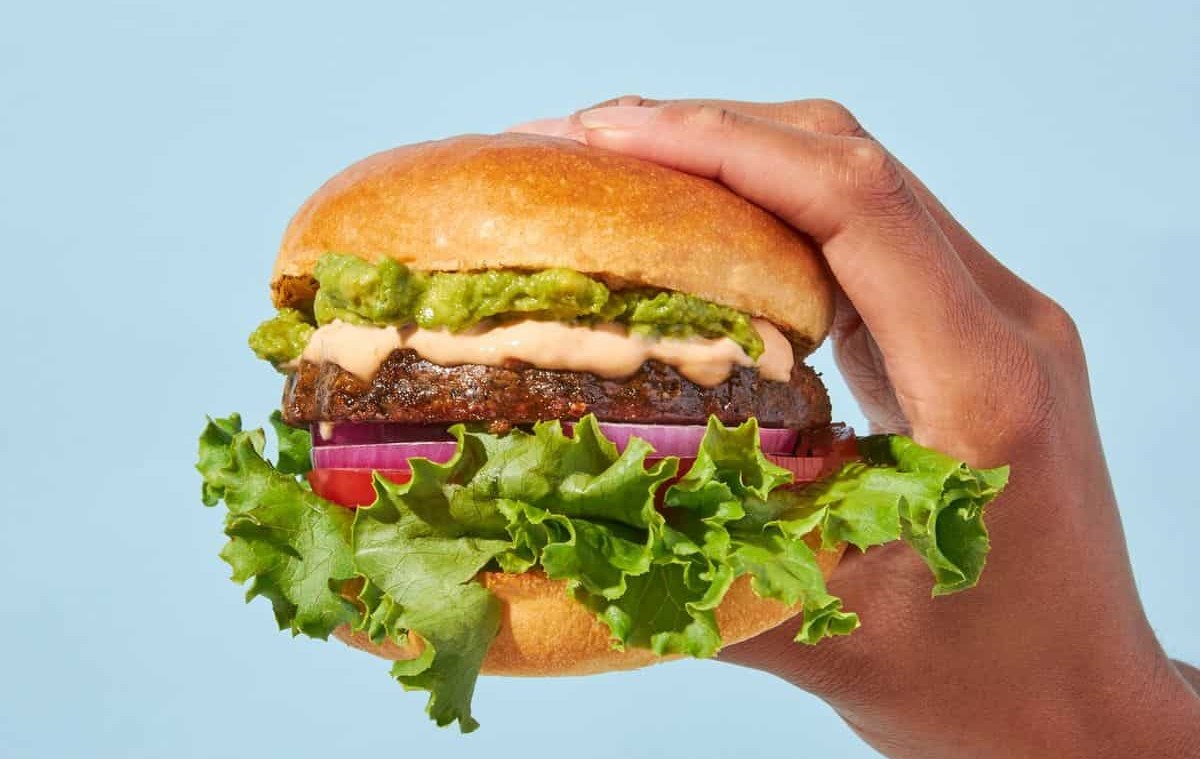 Hemp-based meat burger with cheese