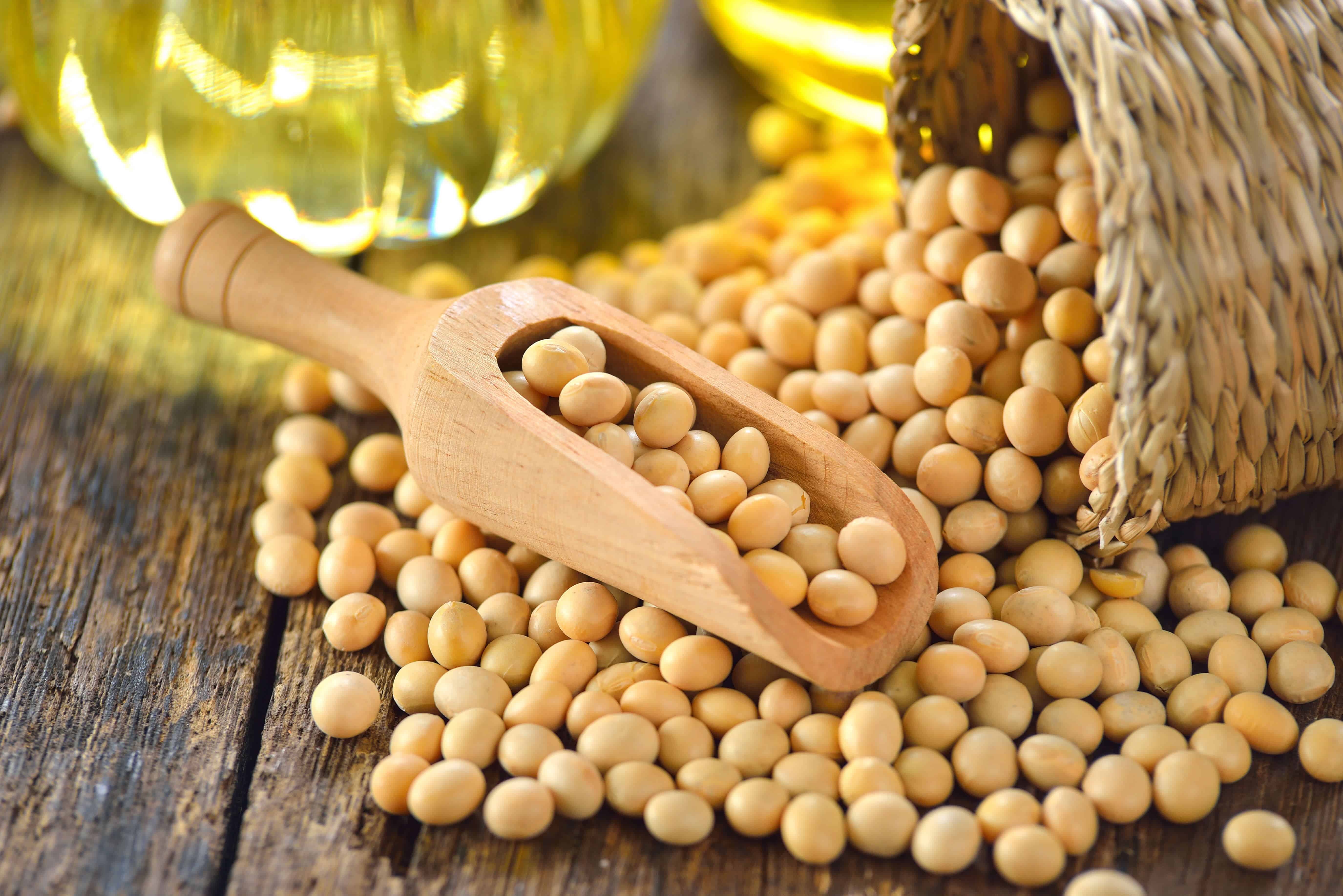 Benson Hill Announces Plans to Release Ultra-High Protein Soybean ...