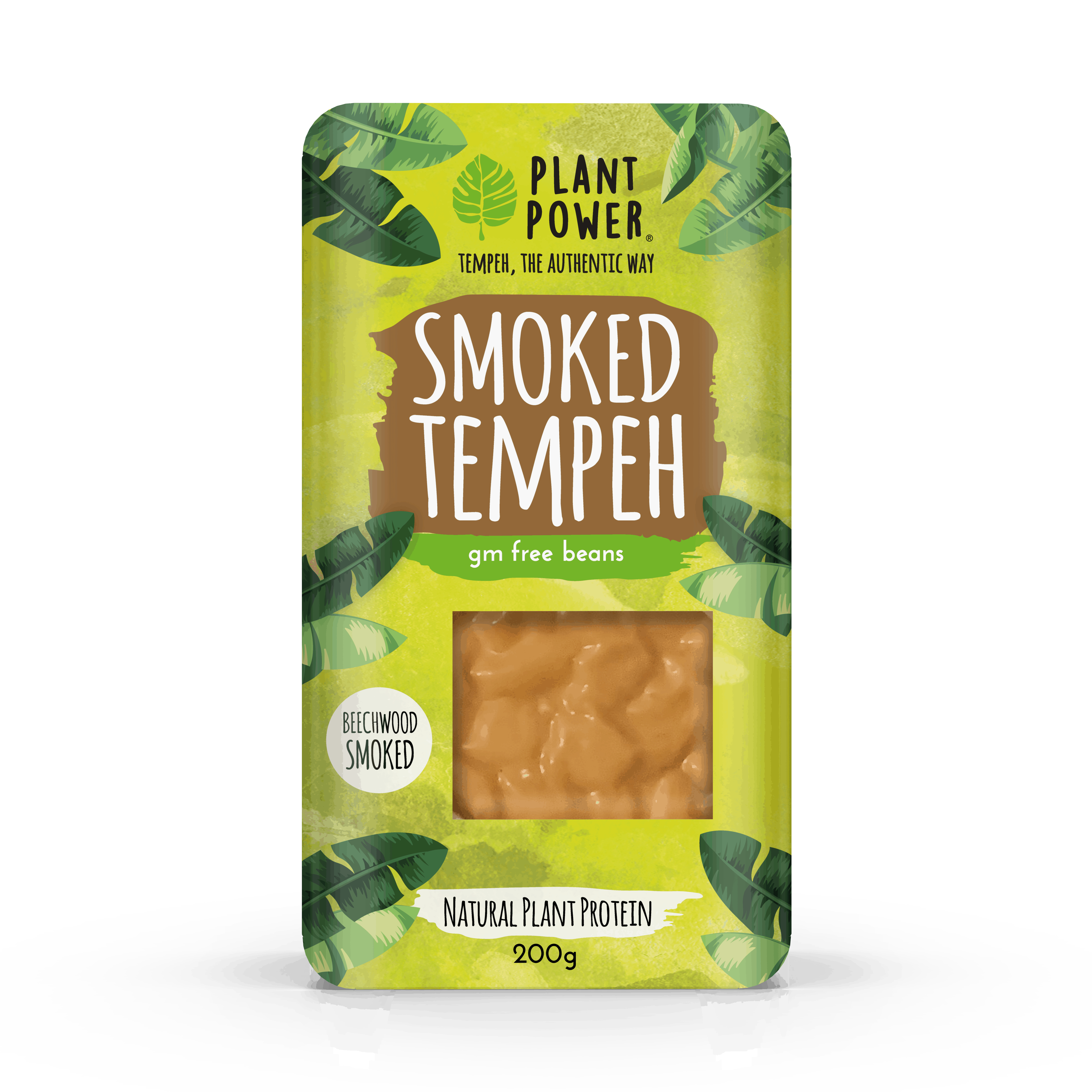 Plant Power tempeh