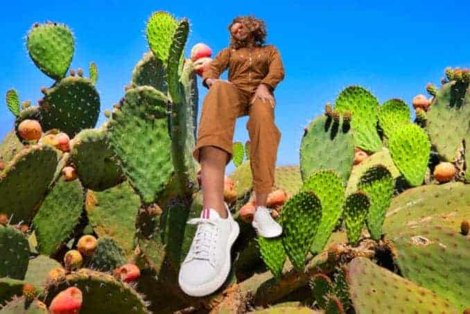 cactus-leather-sustainable